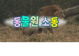 한글기차 치포 - 동물원 소동 1